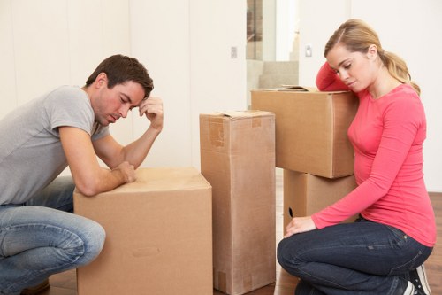 Careful unpacking and box organisation in Highgate