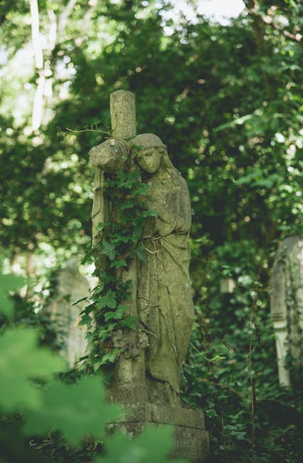 A section of a graveyard with several upright and leaning headstones made of stone and concrete, some covered in moss and lichen. There are small plants and moss growing around the bases of the graves